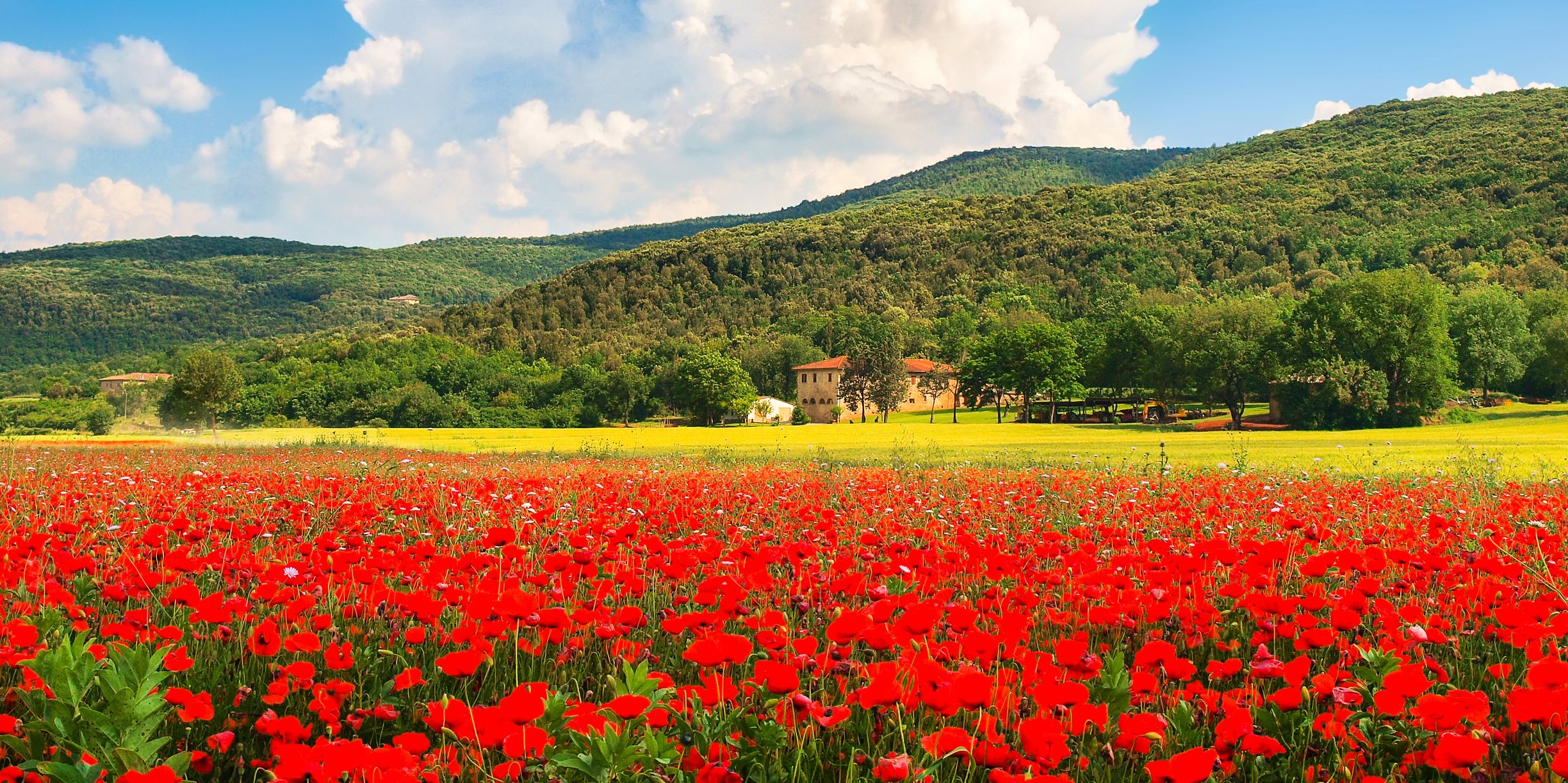 Informativa sulla Privacy di Zoulou